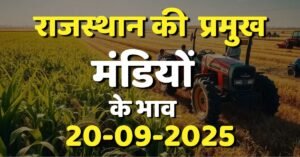 Rajasthan Mandi Bhav